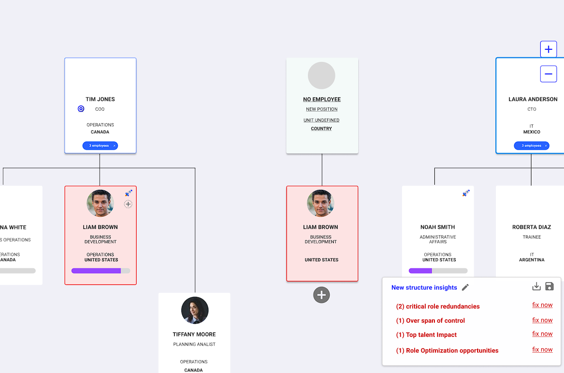 Imagen de diseño organizacional de Nala que muestra la estructura y oportunidades de mejora