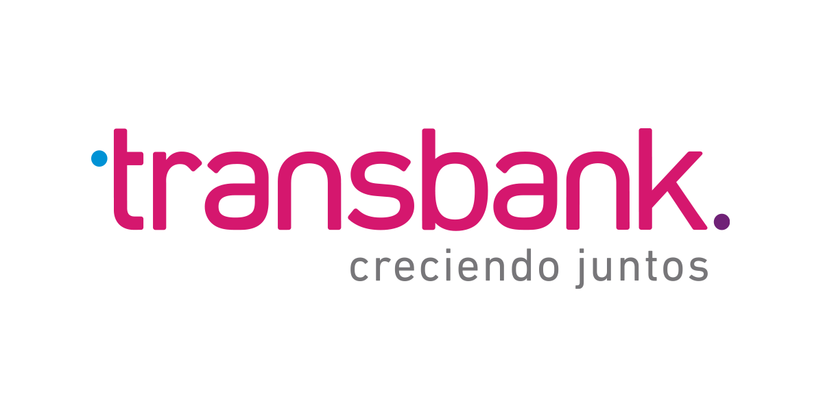 logo color